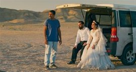 Zebracinema: It Was Just an Accident