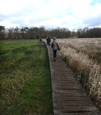Landschapswandeling...