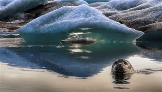 IJsland : Land van sagen en legendes