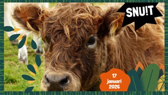 In het spoor van Grote Grazers