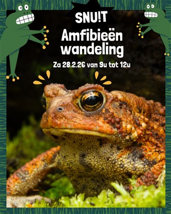 Snuit! - Amfibieënwandeling Hagev