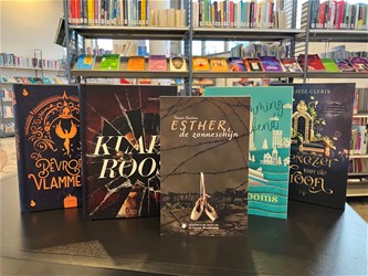 Boekdropping voor de Vlaanderenleestdag