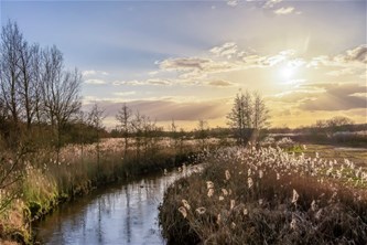 Waterwandeling in het Hageven