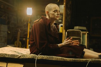 Zebracinema: Bugonia