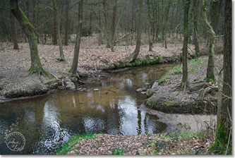 Wittebergwandeling van de Grevenbroekers