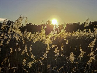 Natuur met andere ogen