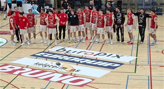 Sporting Pelt - Handbal Houten