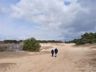 Wandelzoektocht