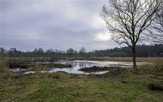 Fietstocht langs verborgen natuurparels