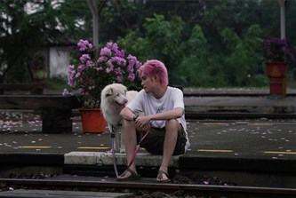 Zebracinema : Gohan