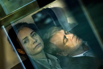 Zebracinema: Yellow Letters