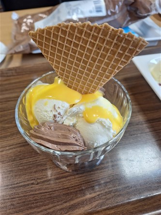 IJssalon