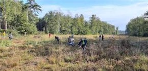 Groene Handen uit de Mouwen: help onze natuur