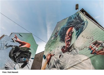 Wandeling Street Art Hasselt