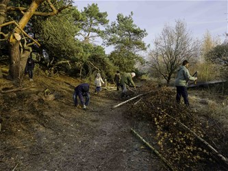 Help mee in het Hageven!