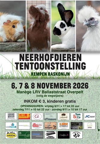 Neerhofdierententoonstelling