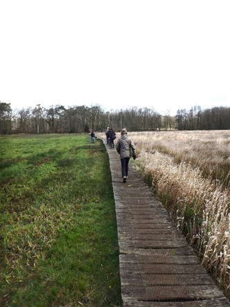 Landschapswandeling...