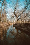 Klimaatwandeling in het Hageven