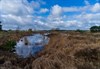 Unieke Vennenwandeling in het Hageven