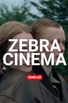 Zebracinema: When the Light Breaks