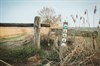 Lente-IN-wandeling De Groote Heide