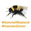 Hommelzoektocht in de Vloeiweiden