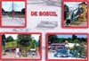 Bosuilfeest
