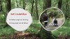 Info-moment - Lindelsbos