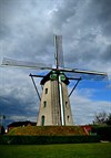 Limburgse Open Molendag