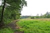 Het landschap van Koersel...