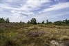 Heilzame heidewandeling in het Hageven