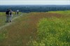 Avontuur naar de top van de terril