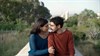 Zebracinema: A Sad and Beautiful World