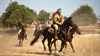 Zebracinema: Palestine 36