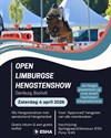 Hengstenshow/hobby horse