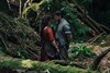 Zebracinema: Hamnet